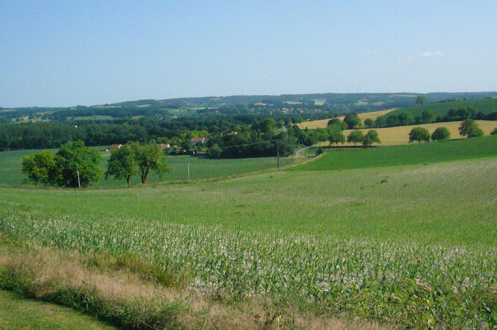 Les Gites De La Treille Montagrier Exterior photo